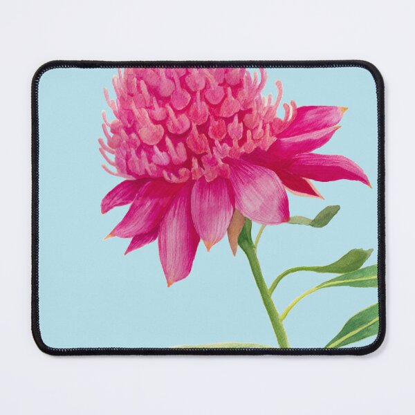 Item preview, Watercolour Waratah  designed and sold by LaniMaeCreative.