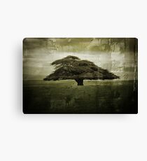 Desolate Tree Canvas Print