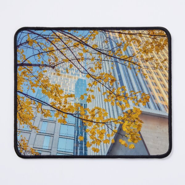 Item preview, Seattle in Autumn designed and sold by jvnimages.