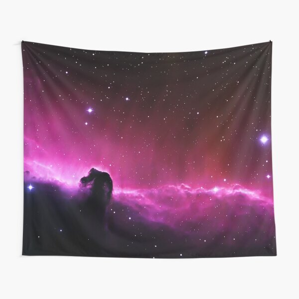Horsehead Nebula Tapestry