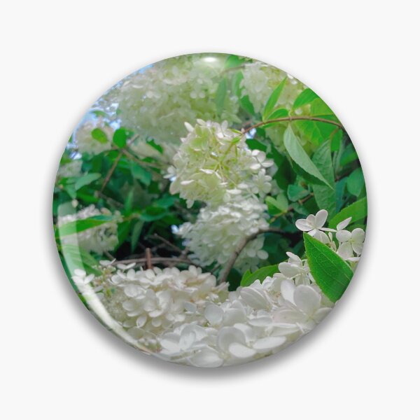 Item preview, Hydrangea  designed and sold by Notcamerashy.