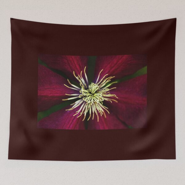 Item preview, Deep Claret Red Clematis designed and sold by Deb Oppermann.