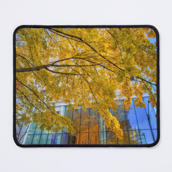 Item preview, Fall in City designed and sold by jvnimages.