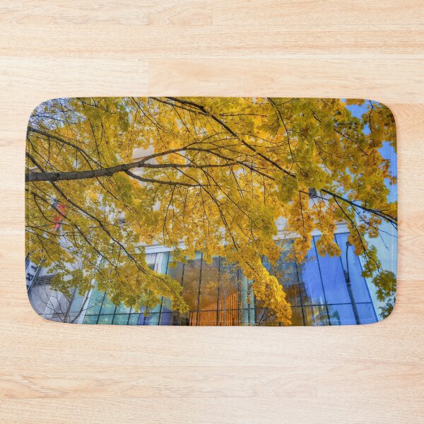 Item preview, Fall in City designed and sold by jvnimages.