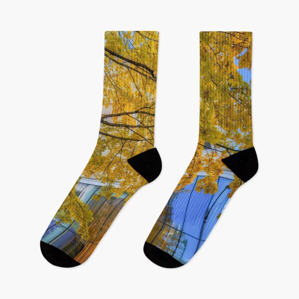Item preview, Fall in City designed and sold by jvnimages.