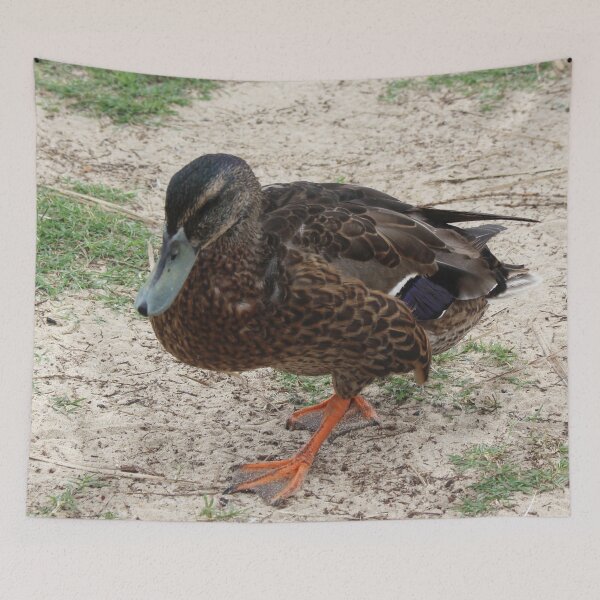 Item preview, The Duck Walk! designed and sold by Mickangelhere.