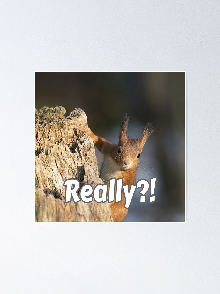 Thumbnail 1 of 3, Poster, Really?! designed and sold by Surreallytee.