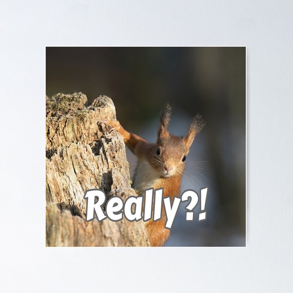 Item preview, ¡¿En realidad?! designed and sold by Surreallytee.