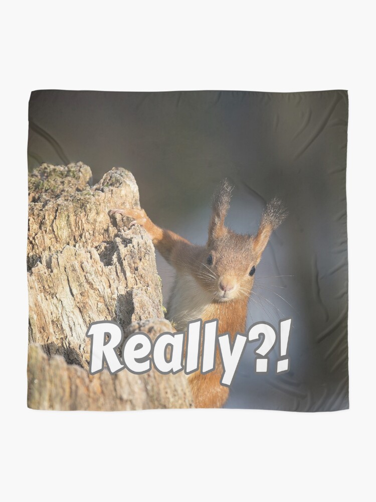 Thumbnail 2 of 3, Scarf, Really?! designed and sold by Surreallytee.