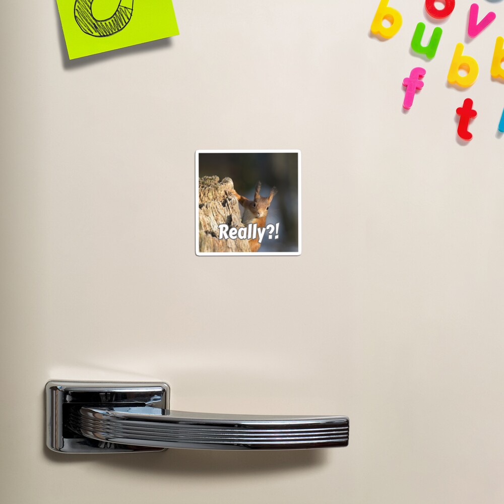 Item preview, Magnet designed and sold by Surreallytee.
