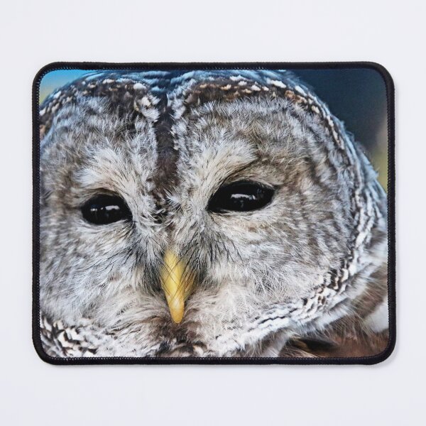 Item preview, Soulful Eyes designed and sold by Debbie Oppermann.