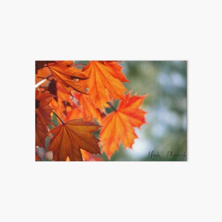 Autumn Leaves #1 Art Board Print