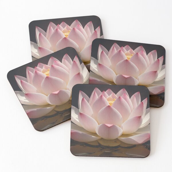 Item preview, Lotus flower in a pond designed and sold by StellarisAzalea.