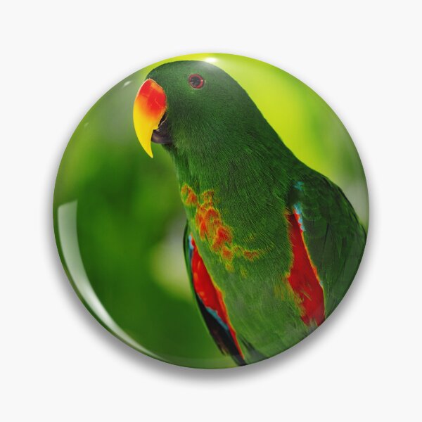 Item preview, Green Eclectus Bird Photo designed and sold by TheAnimalZ00.