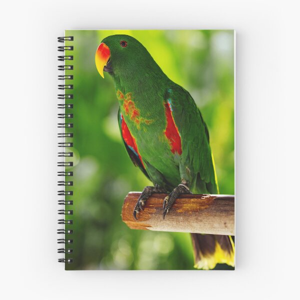Item preview, Green Eclectus Bird Photo designed and sold by TheAnimalZ00.