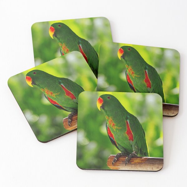 Item preview, Green Eclectus Bird Photo designed and sold by TheAnimalZ00.
