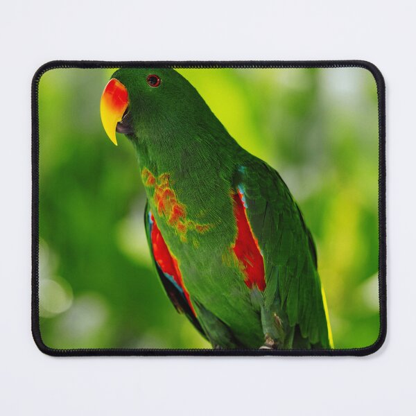 Item preview, Green Eclectus Bird Photo designed and sold by TheAnimalZ00.