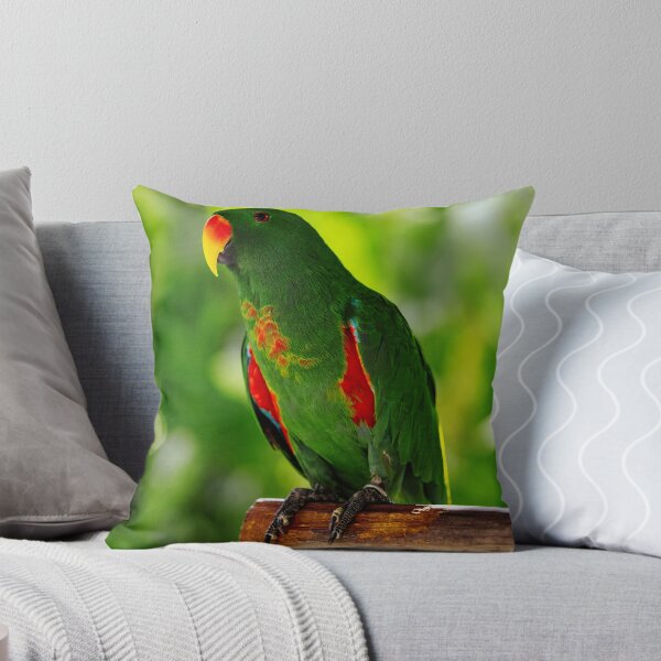 Item preview, Green Eclectus Bird Photo designed and sold by TheAnimalZ00.