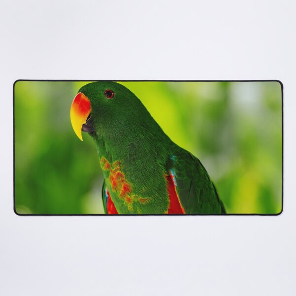 Item preview, Green Eclectus Bird Photo designed and sold by TheAnimalZ00.