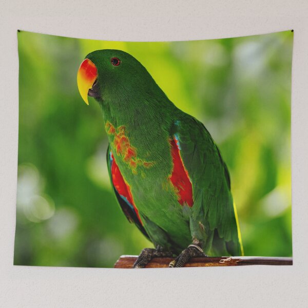 Item preview, Green Eclectus Bird Photo designed and sold by TheAnimalZ00.