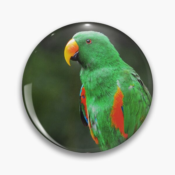 Item preview, Green Eclectus Bird  designed and sold by TheAnimalZ00.