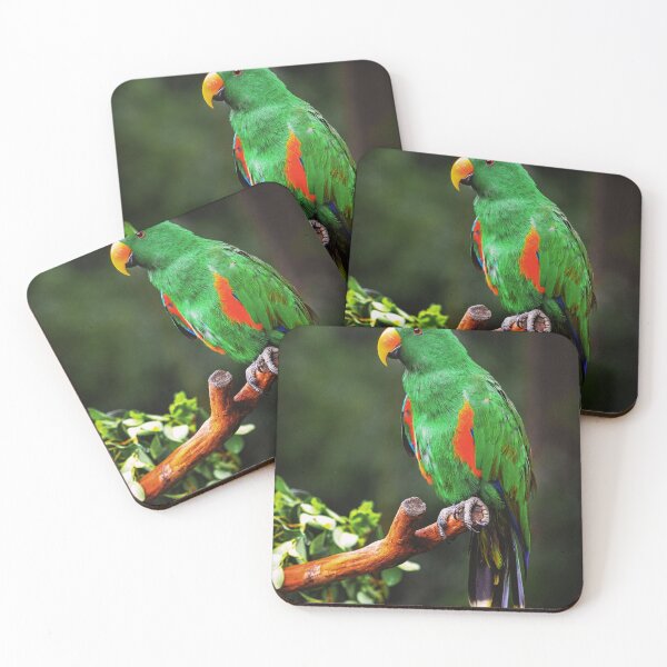 Item preview, Green Eclectus Bird  designed and sold by TheAnimalZ00.