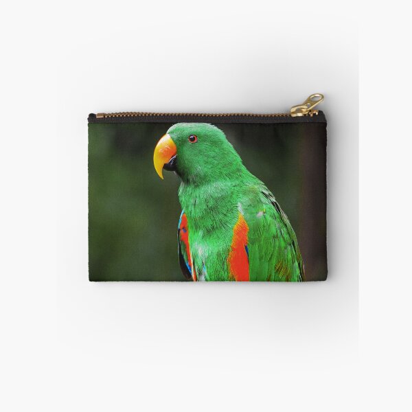 Item preview, Green Eclectus Bird  designed and sold by TheAnimalZ00.