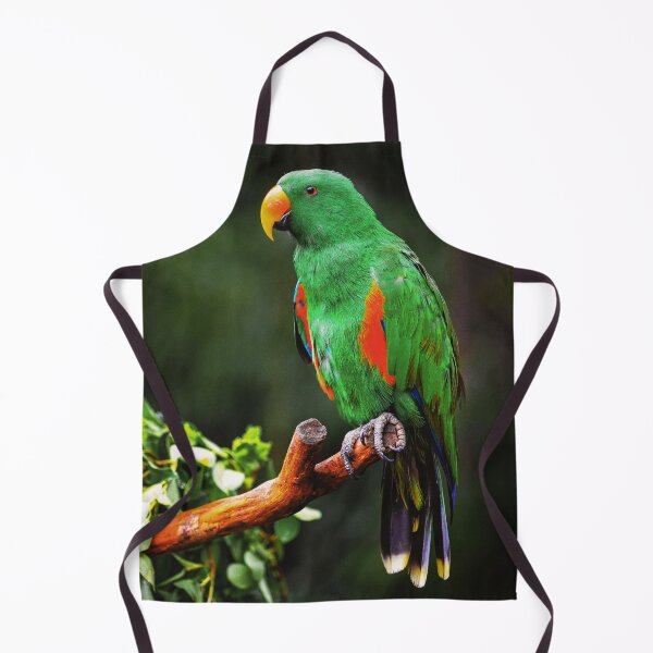 Item preview, Green Eclectus Bird designed and sold by TheAnimalZ00.