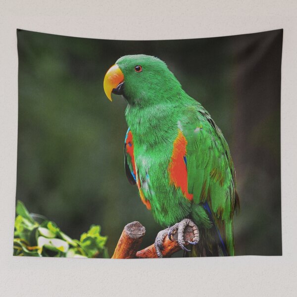 Item preview, Green Eclectus Bird  designed and sold by TheAnimalZ00.