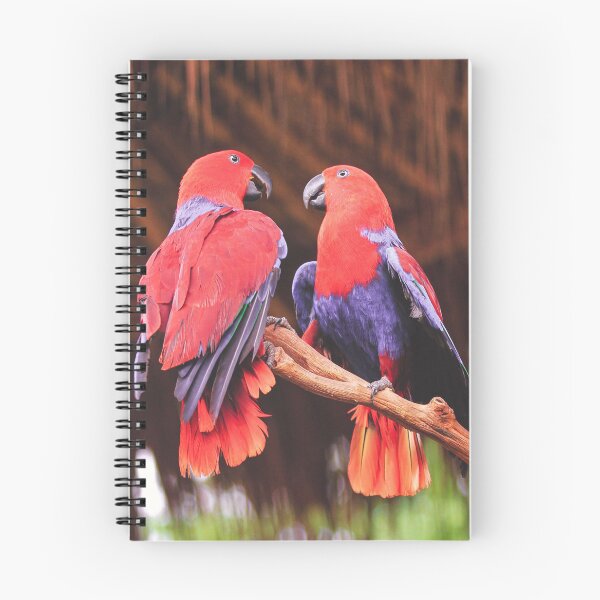 Item preview, Red And Blue Eclectus Birds designed and sold by TheAnimalZ00.