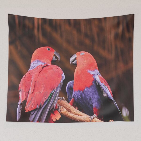 Item preview, Red And Blue Eclectus Birds designed and sold by TheAnimalZ00.