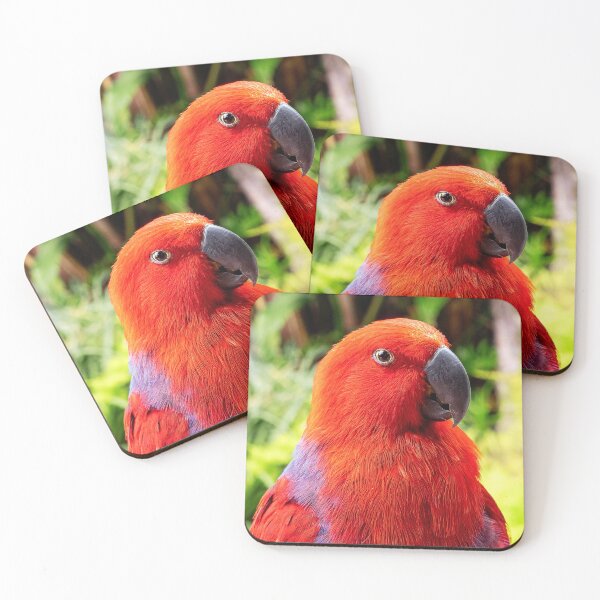 Item preview, Red And Blue Eclectus Bird designed and sold by TheAnimalZ00.