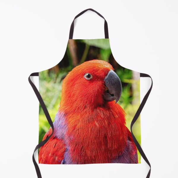 Item preview, Red And Blue Eclectus Bird designed and sold by TheAnimalZ00.
