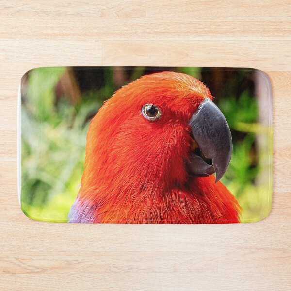 Item preview, Red And Blue Eclectus Bird designed and sold by TheAnimalZ00.