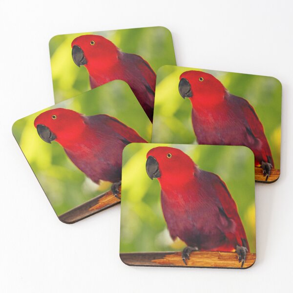 Item preview, Red And Blue Eclectus Parrot designed and sold by TheAnimalZ00.