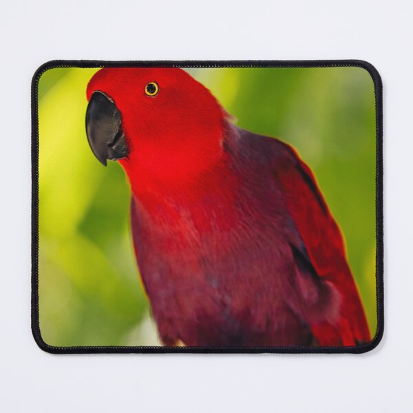 Item preview, Red And Blue Eclectus Parrot designed and sold by TheAnimalZ00.
