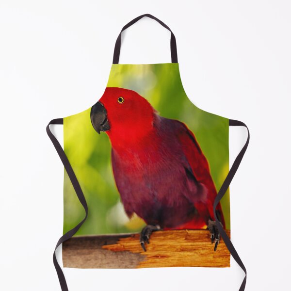 Item preview, Red And Blue Eclectus Parrot designed and sold by TheAnimalZ00.
