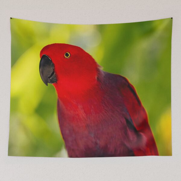 Item preview, Red And Blue Eclectus Parrot designed and sold by TheAnimalZ00.