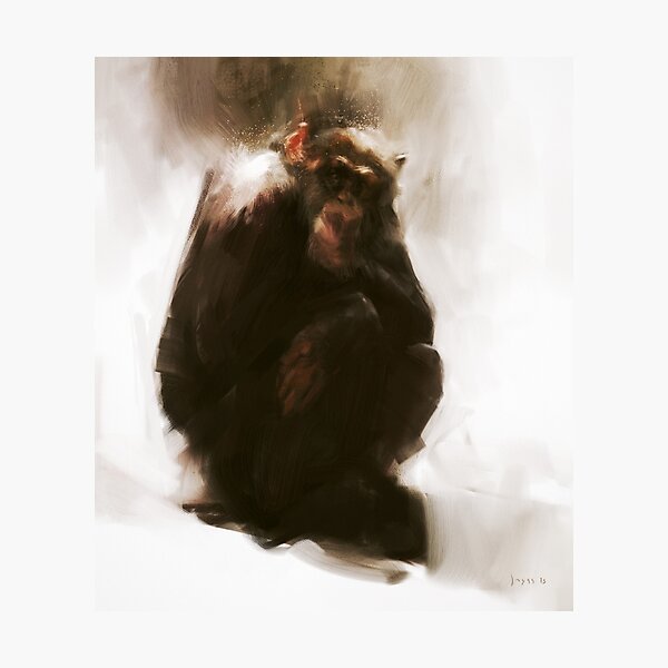 Ape Photographic Print