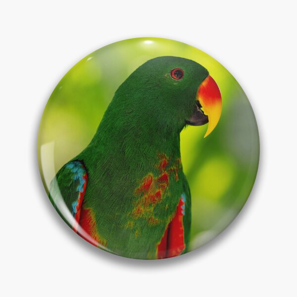 Item preview, Green Eclectus Parrot designed and sold by TheAnimalZ00.