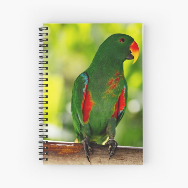 Item preview, Green Eclectus Parrot designed and sold by TheAnimalZ00.