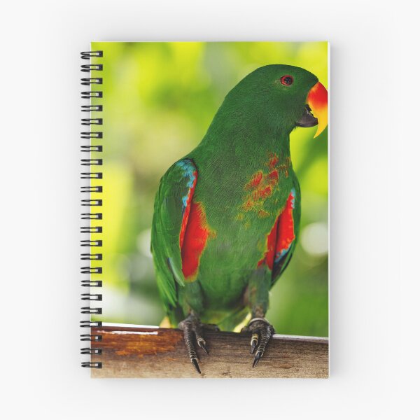 Item preview, Green Eclectus Parrot designed and sold by TheAnimalZ00.