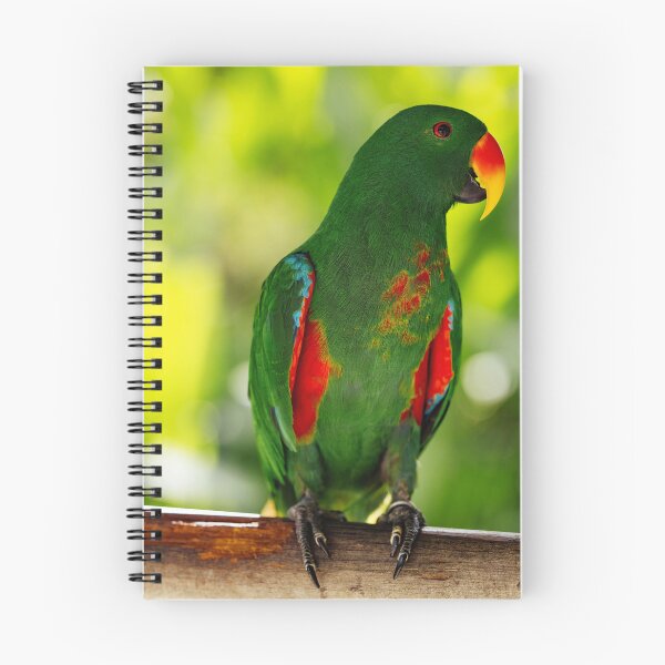 Item preview, Green Eclectus Parrot designed and sold by TheAnimalZ00.
