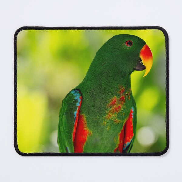 Item preview, Green Eclectus Parrot designed and sold by TheAnimalZ00.