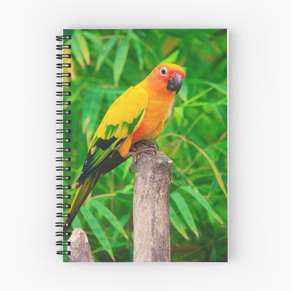 Item preview, Sun Conure Parrot designed and sold by TheAnimalZ00.