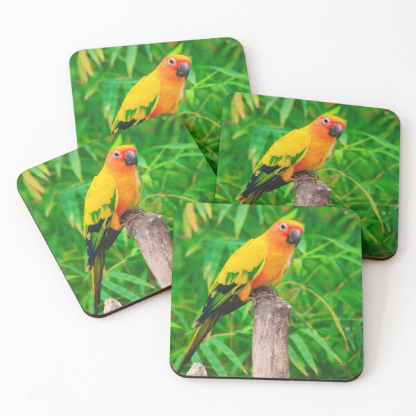 Item preview, Sun Conure Parrot designed and sold by TheAnimalZ00.