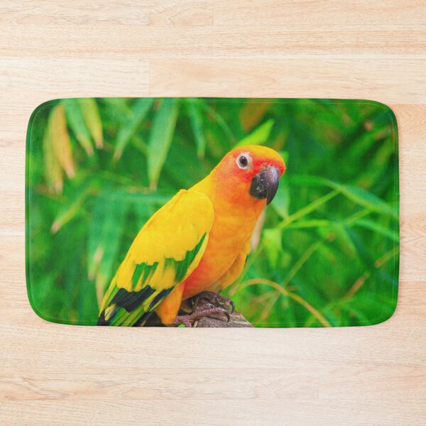 Item preview, Sun Conure Parrot designed and sold by TheAnimalZ00.