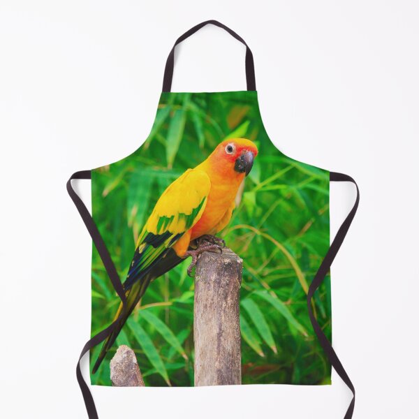 Item preview, Sun Conure Parrot designed and sold by TheAnimalZ00.