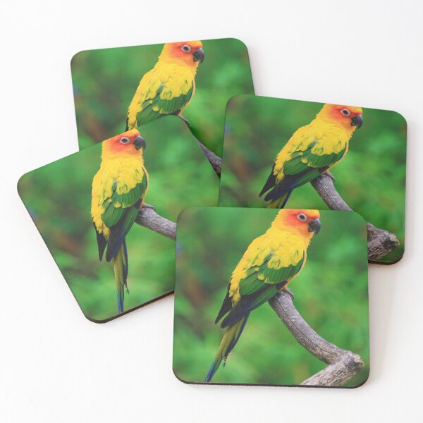 Item preview, Sun Conure Parrot Photo designed and sold by TheAnimalZ00.