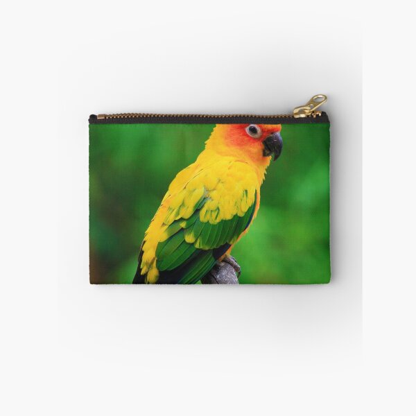 Item preview, Sun Conure Parrot Photo designed and sold by TheAnimalZ00.